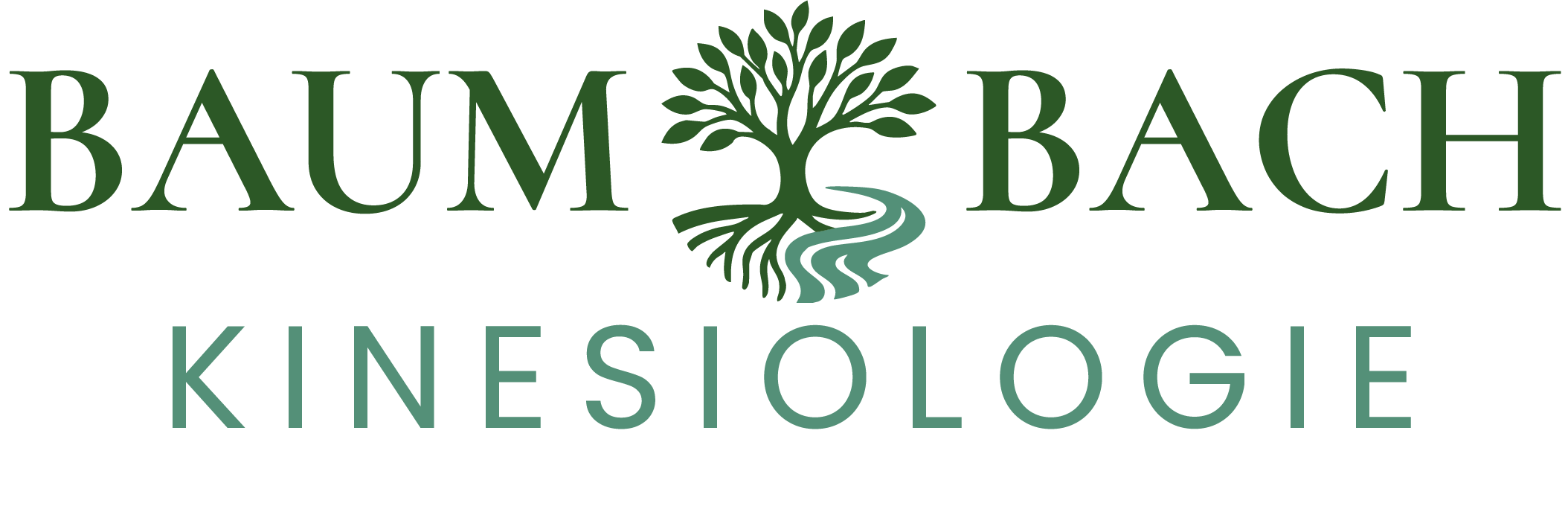 BaumBach Kinesiologie